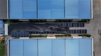 How many core wires are used for photovoltaic grid-connected
