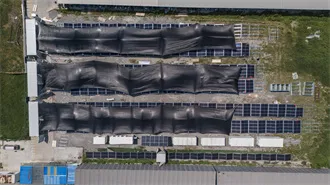 Decarbonising Port Terminals | Sustainability & ESG | Maersk